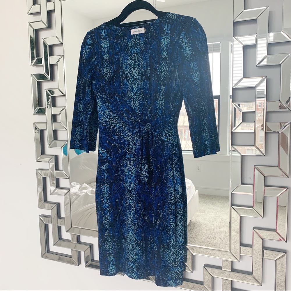 Calvin Klein Blue Snakeskin Fitted Dress